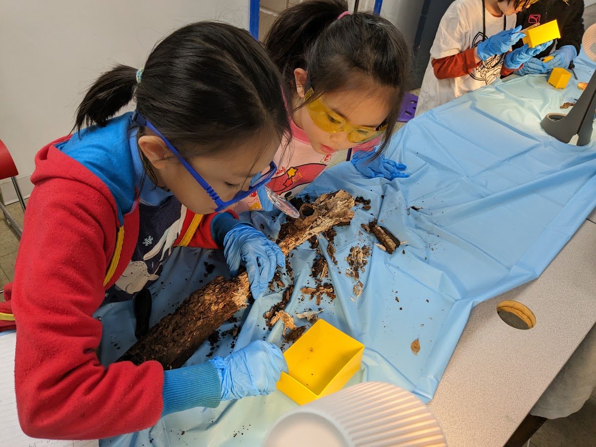 Students closely examining prehistoric material in gloves and goggles