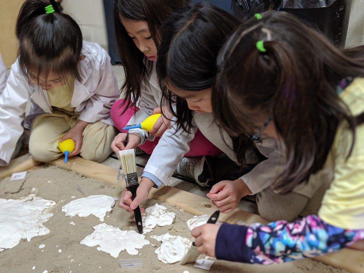 Students excavating fossil material in an earlier paleontology semester
